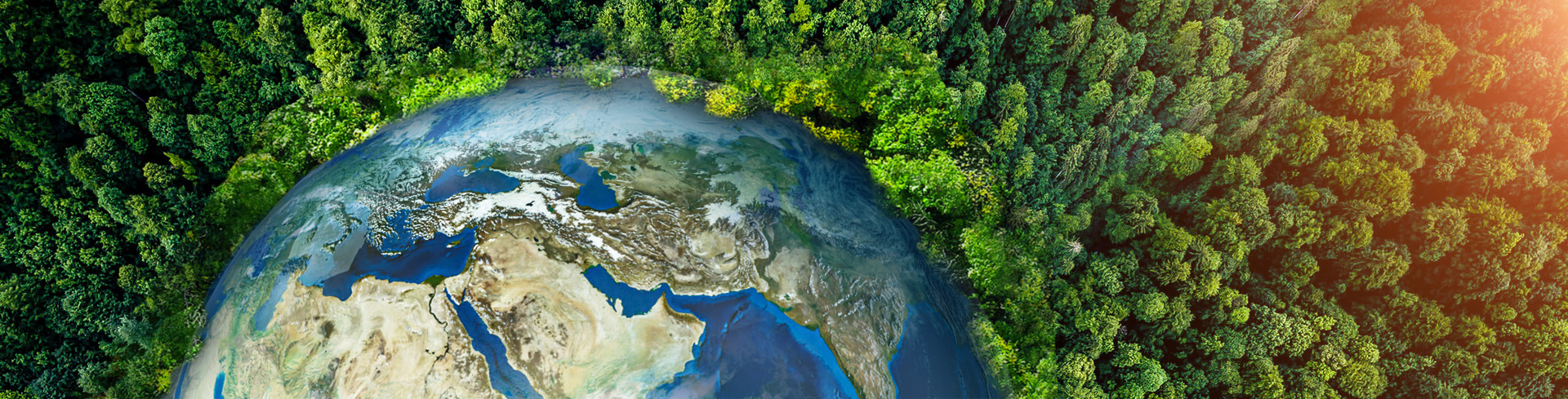 ���α�����������