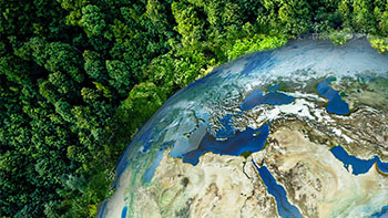 PA�콢��(�й���)�ٷ���վ-PlayAce