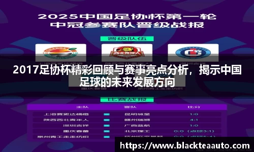 2017足协杯精彩回顾与赛事亮点分析，揭示中国足球的未来发展方向