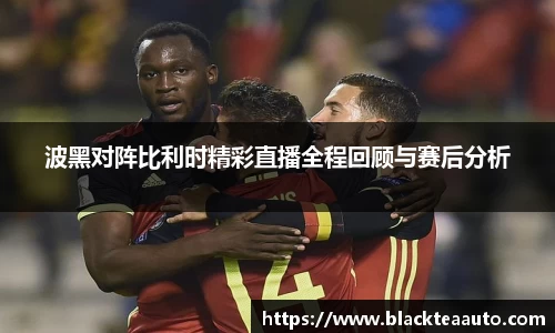 波黑对阵比利时精彩直播全程回顾与赛后分析